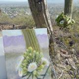 Saguaro's Gift