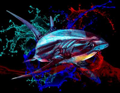 Blood in the water -Thresher Shark Dark Blood in the water -Thresher Shark Dark