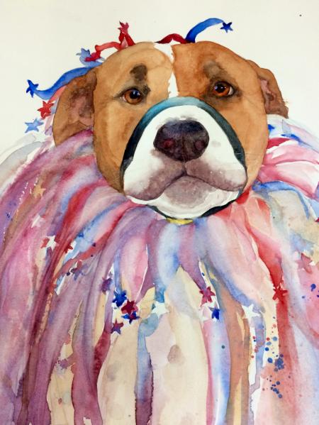 Harlequin Dog