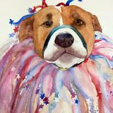 Harlequin Dog