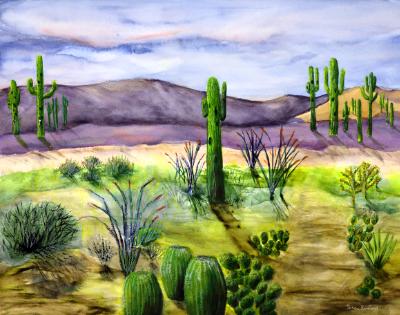 Sonoran Desert