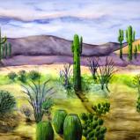 Sonoran Desert