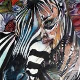 Zebra Spirit