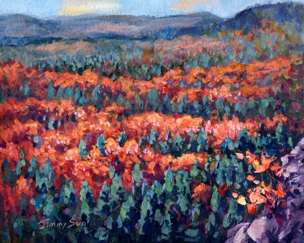 A Lookout of Algonquin Park, Ontario 