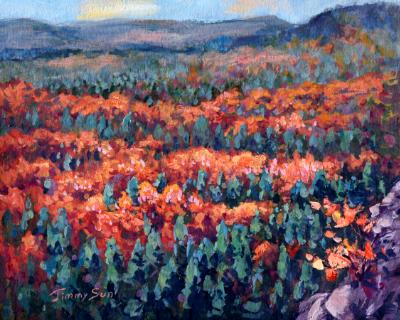 A Lookout of Algonquin Park, Ontario 