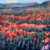 A Lookout of Algonquin Park, Ontario 