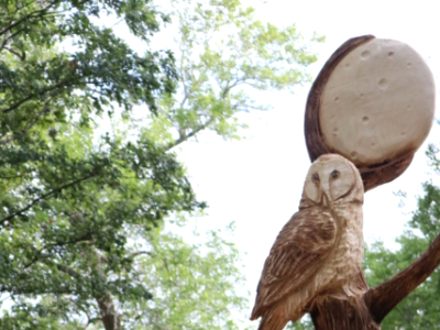 Extreme Sculpting- Chainsaw Carvings - One of a kind chainsaw carvings 