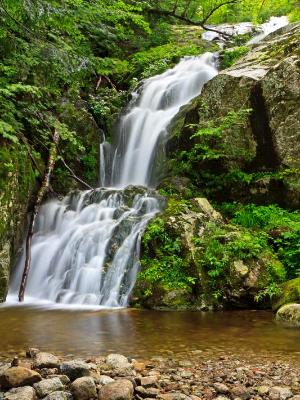 Silky Wedge Brook Falls Silky Wedge Brook Falls