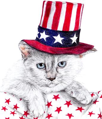 4th of July Cat 4th of July Cat