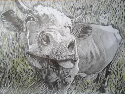 Bessie Bessie