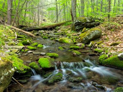 Rochester Hollow Brook Rochester Hollow Brook
