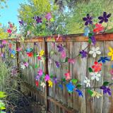 Flowers Flowers