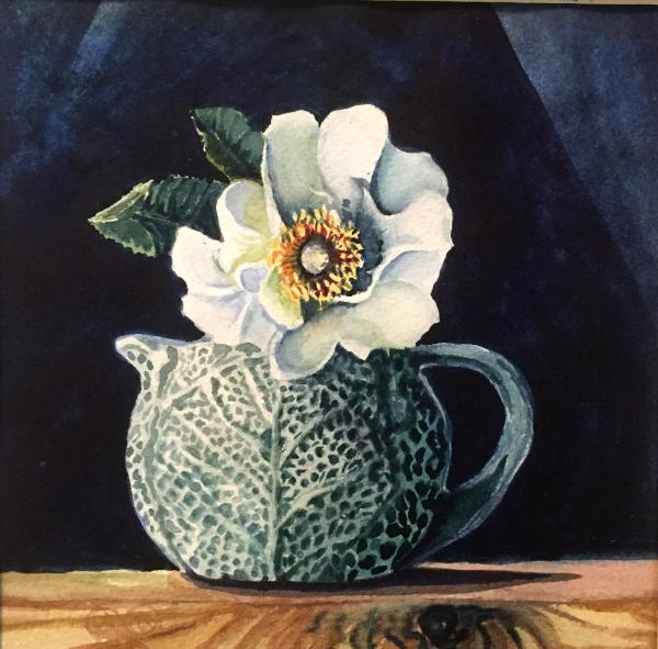 Cherokee Rose in Grandma's teapot