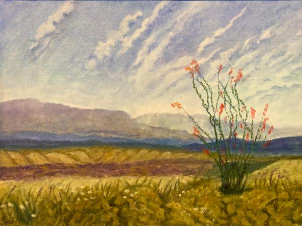Big Bend 
