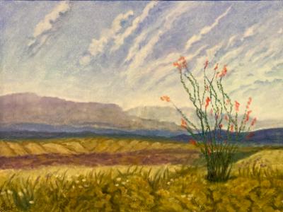 Big Bend Big Bend