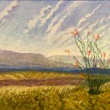 Big Bend 