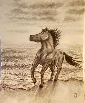 Grayscale Horse on Beach 