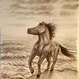 Grayscale Horse on Beach 