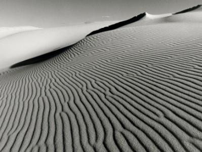 Oregon Dunes #2