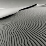 Oregon Dunes #2