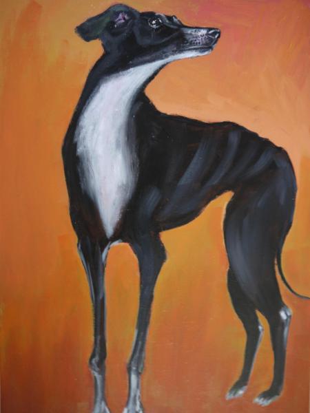 Greyhound on Orange, Acrylic & Oils on Canvas