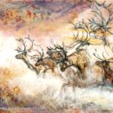 Arctic Caves, Caribou Study