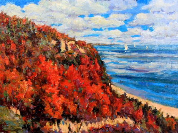 The Beauty of the Scarborough Bluffs, Toronto