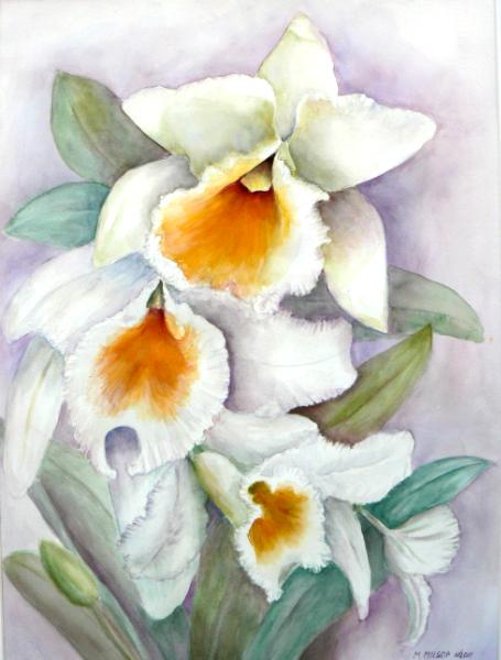 Allan's Orchid