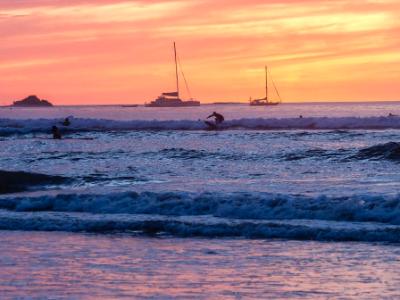 Surfing Purple Waves Surfing Purple Waves