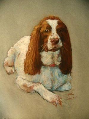 Tom 16x20" pastel Tom 16x20" pastel