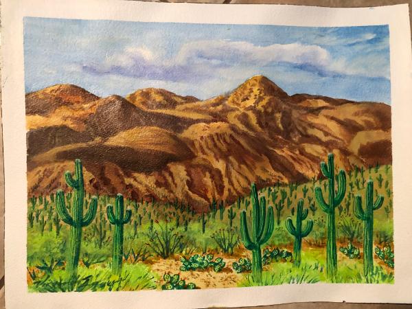 Catalina Mountains