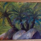 Rock n Palms