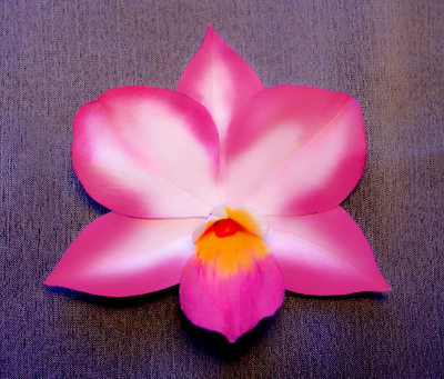 White Dendrobium Orchid Pin White Dendrobium Orchid Pin