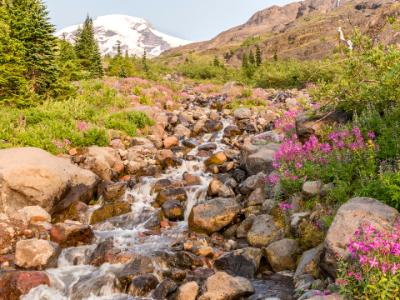 Heliptrope Creek and Mt. Baker Heliptrope Creek and Mt. Baker