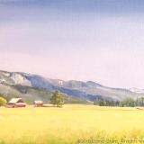 Homestead