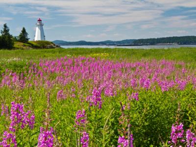 Green's Point Light and Flowers Green's Point Light and Flowers