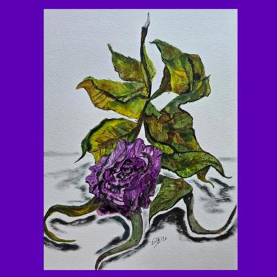 The final days of a pink rose gone purple. #2 The final days of a pink rose gone purple. #2