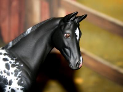 Peter Stone - 'Weanling' Custom Order
