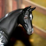 Peter Stone - 'Weanling' Custom Order
