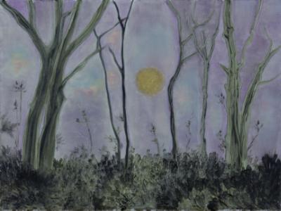 Landscape's Memories