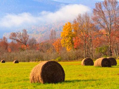 Foggy Autumn Hayfield Foggy Autumn Hayfield