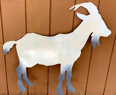 GOAT GOAT