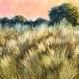 Millennium Park 9.8.25