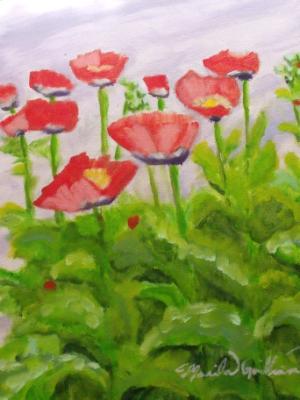 Poppies