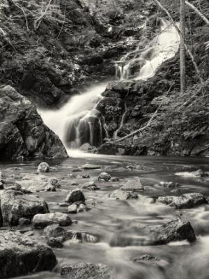 Dreamy Macintosh Brook Black & White Dreamy Macintosh Brook Black & White