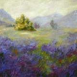 Lupine Meadow Revisited