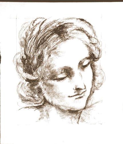 Classical Womans head drawing 