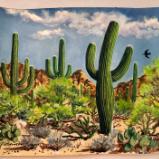 Saguaros and Palo Verde Trees