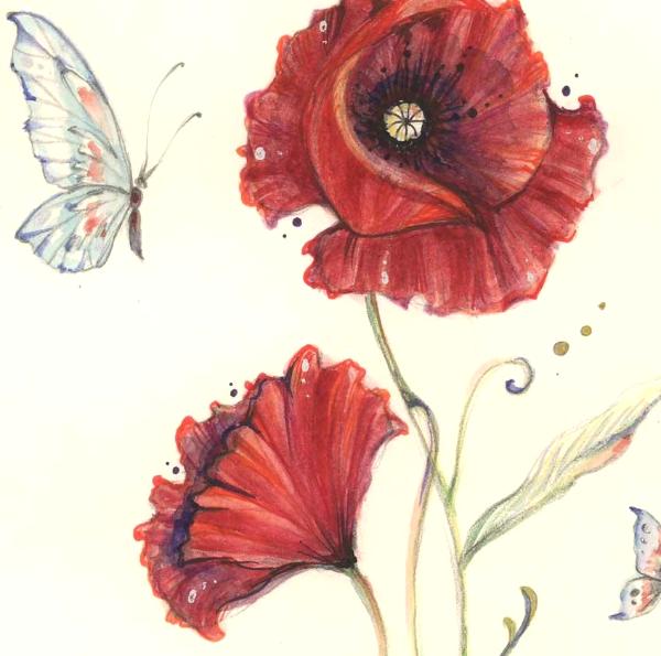 Red Poppies and Butterflies original painting