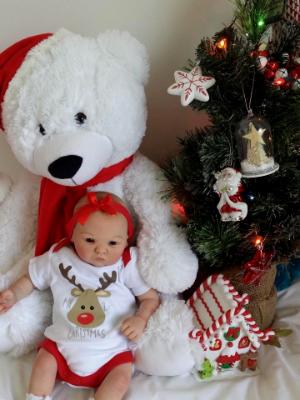 Christmas 2016 Show entry:  Rose (R.D)